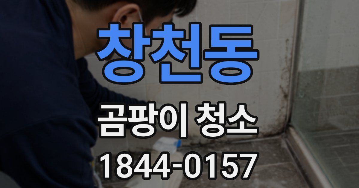 창천동 곰팡이 청소