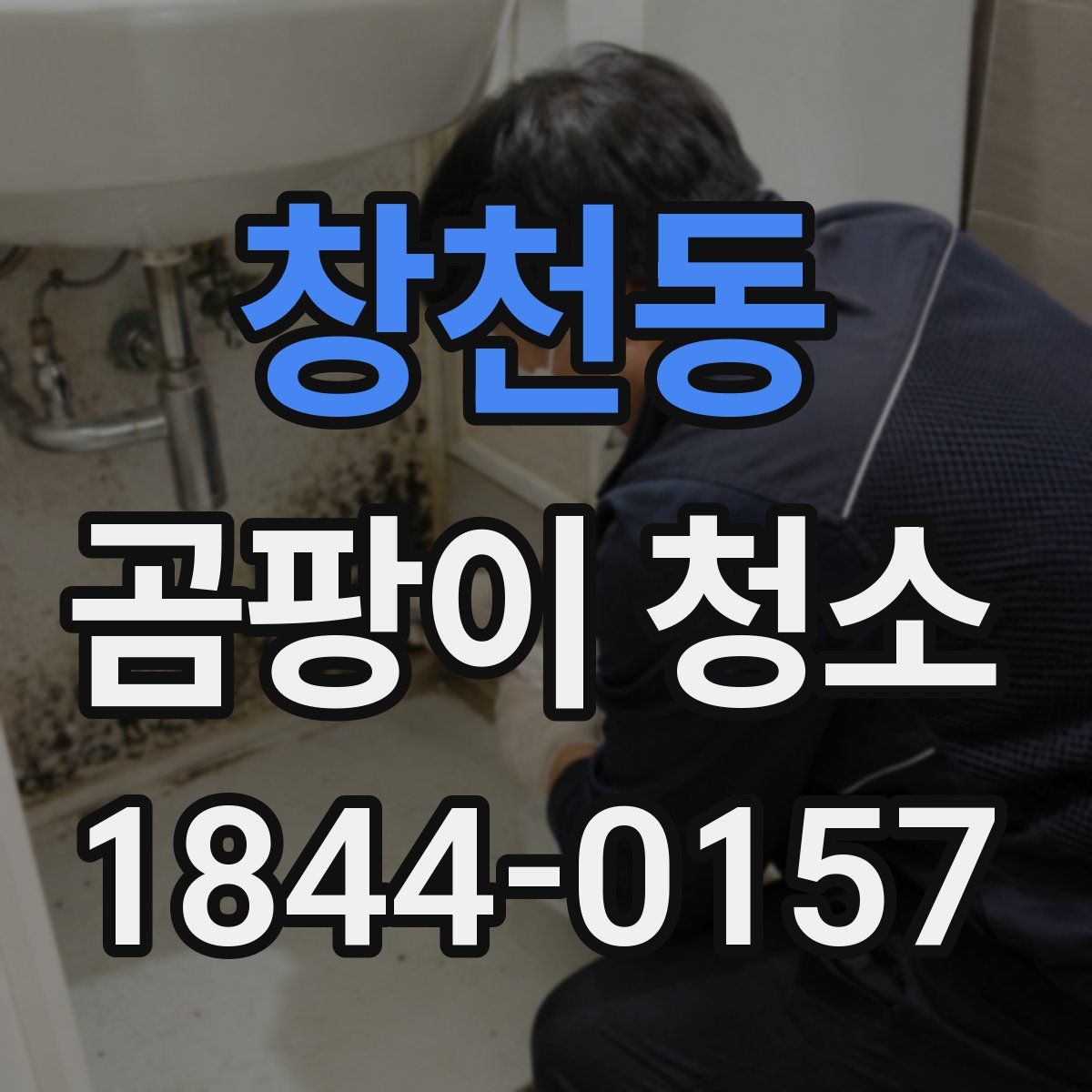 창천동 곰팡이 청소