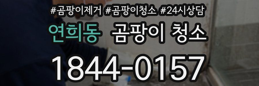 연희동 곰팡이 청소