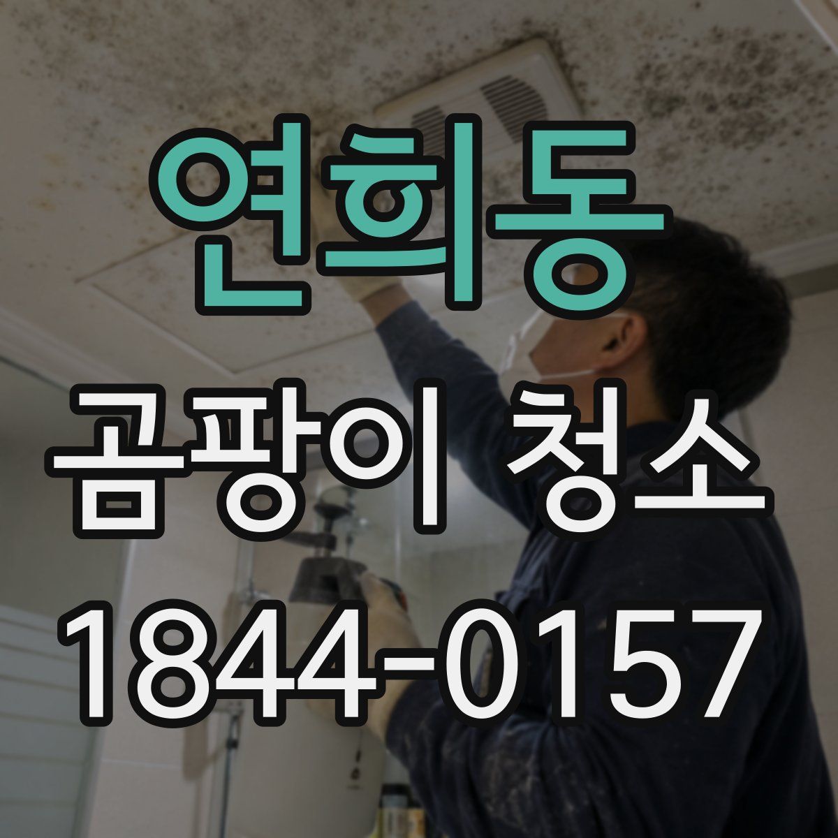 연희동 곰팡이 청소