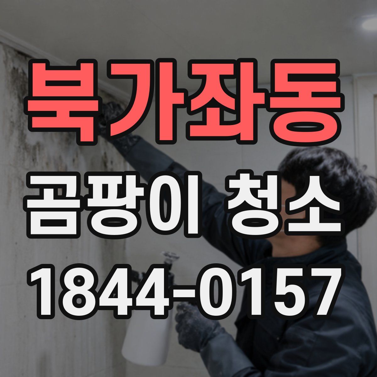 북가좌동 곰팡이 청소