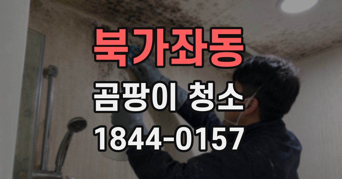 북가좌동 곰팡이 청소