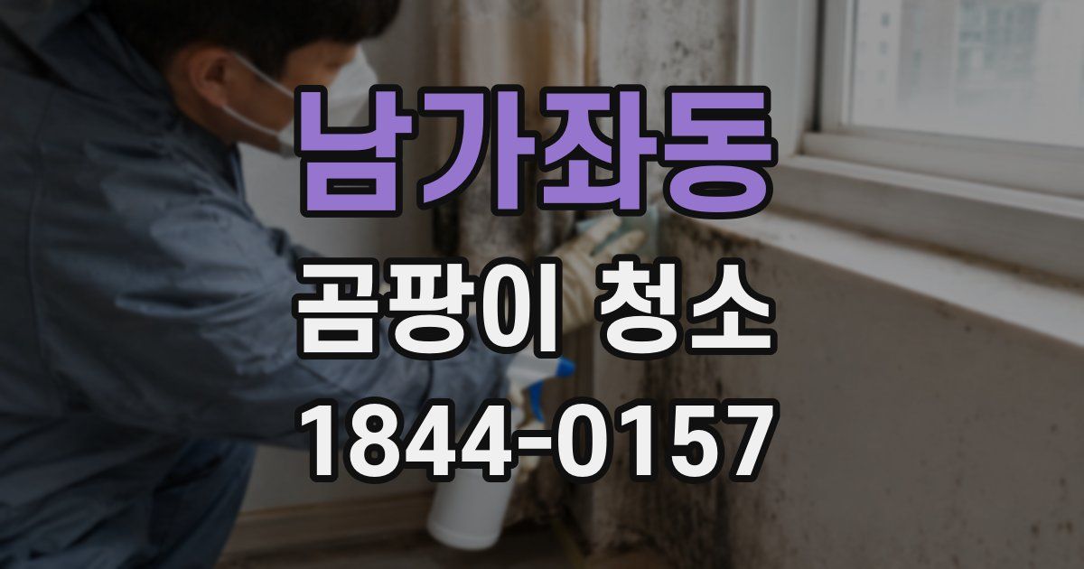 남가좌동 곰팡이 청소