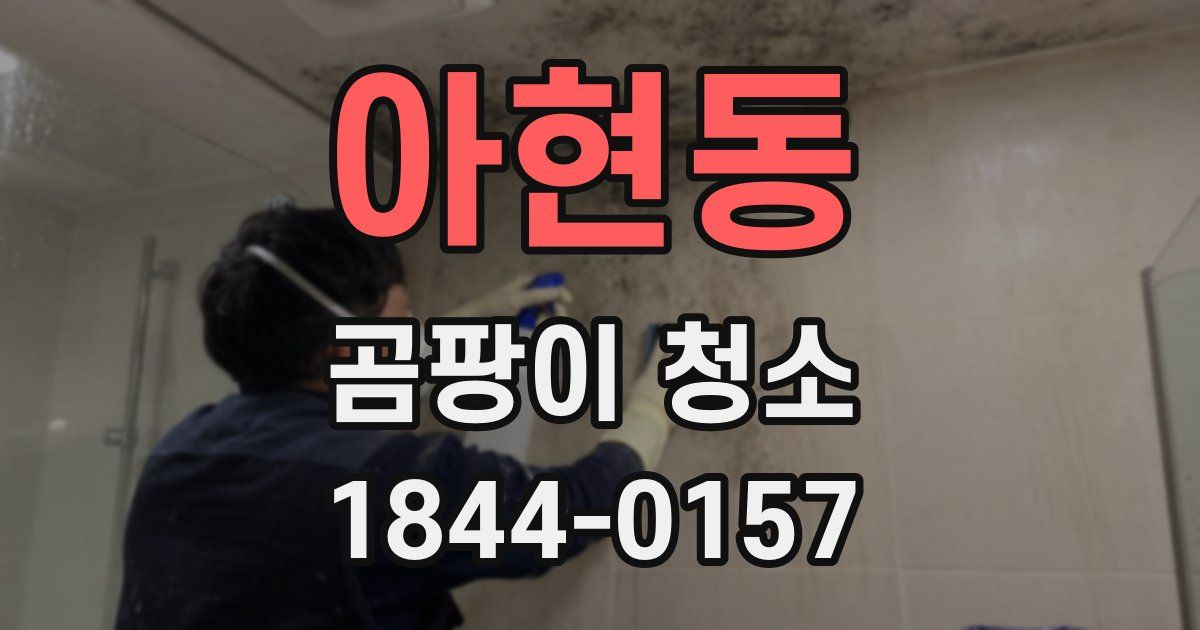 아현동 곰팡이 청소