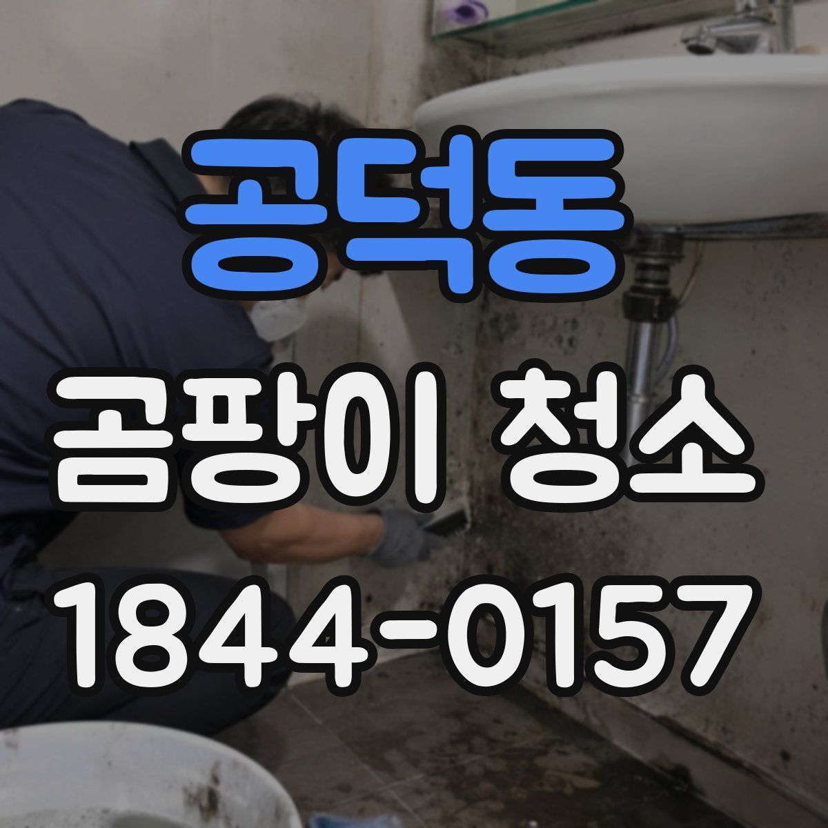 공덕동 곰팡이 청소