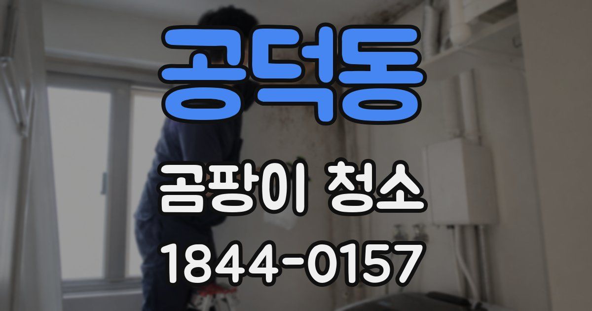 공덕동 곰팡이 청소