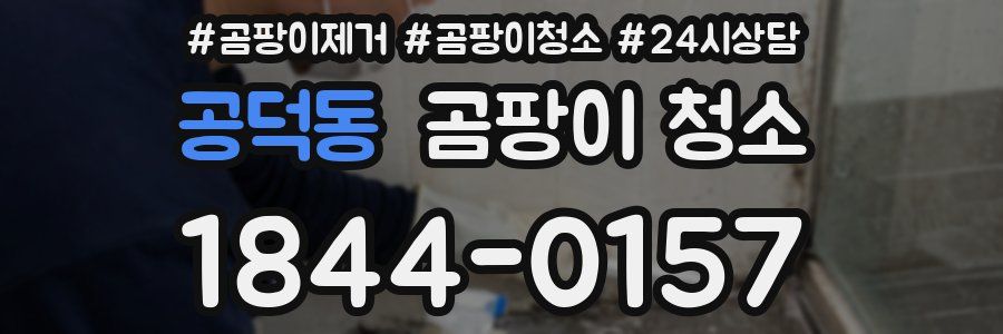 공덕동 곰팡이 청소