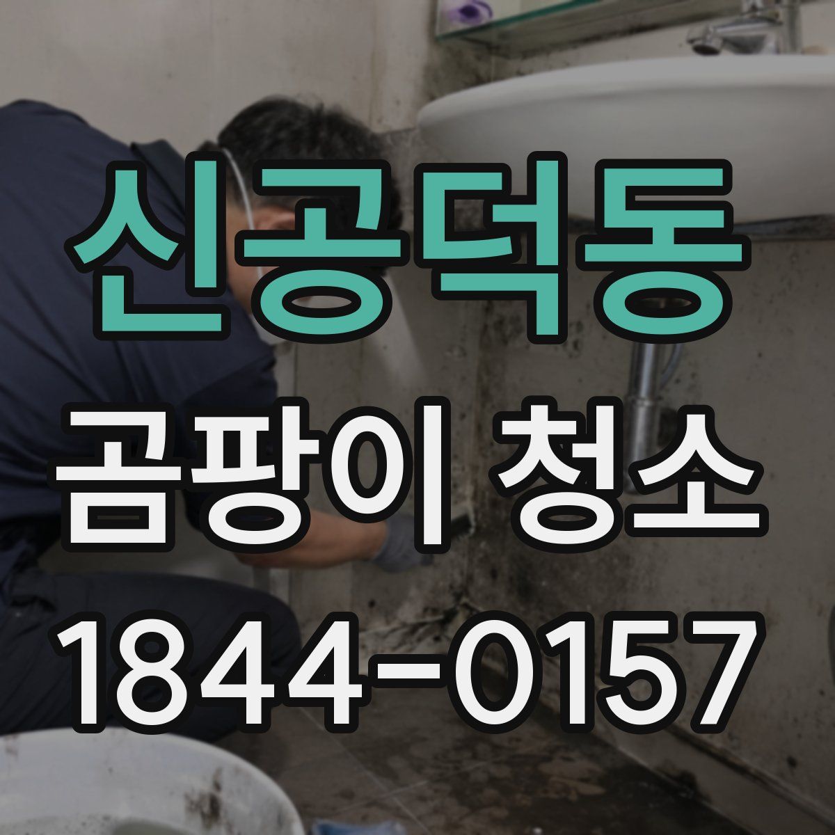 신공덕동 곰팡이 청소