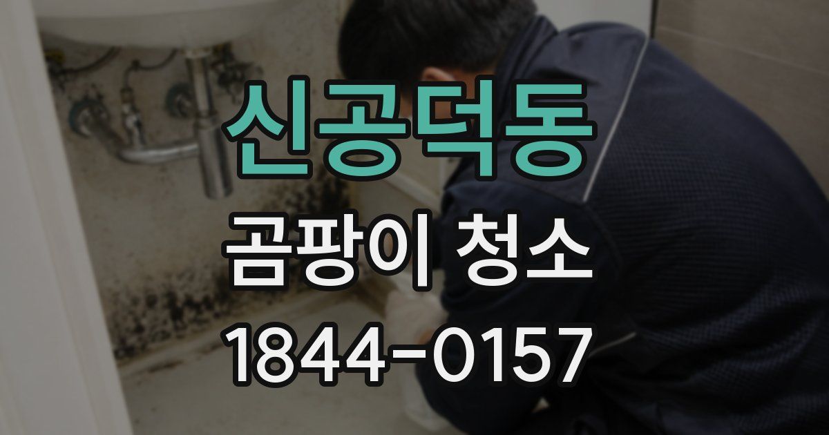 신공덕동 곰팡이 청소