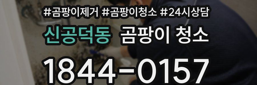 신공덕동 곰팡이 청소