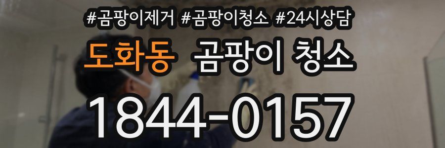도화동 곰팡이 청소
