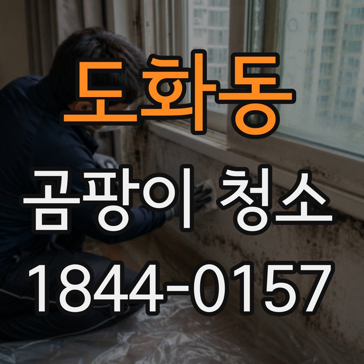 도화동 곰팡이 청소