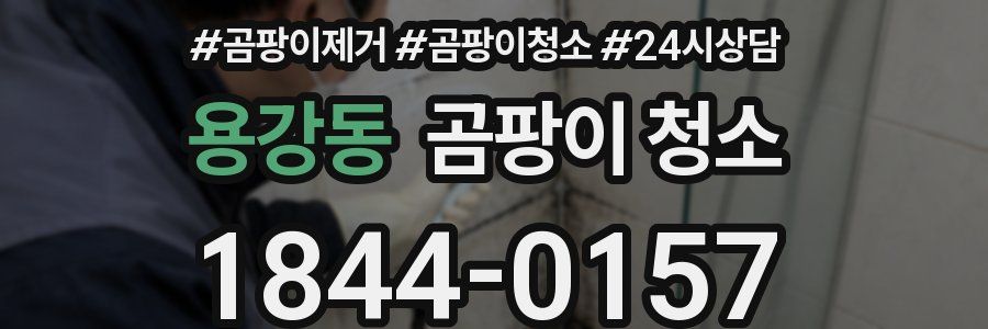 용강동 곰팡이 청소