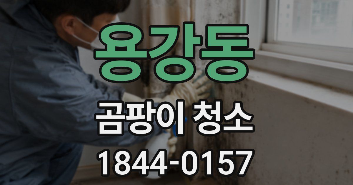 용강동 곰팡이 청소