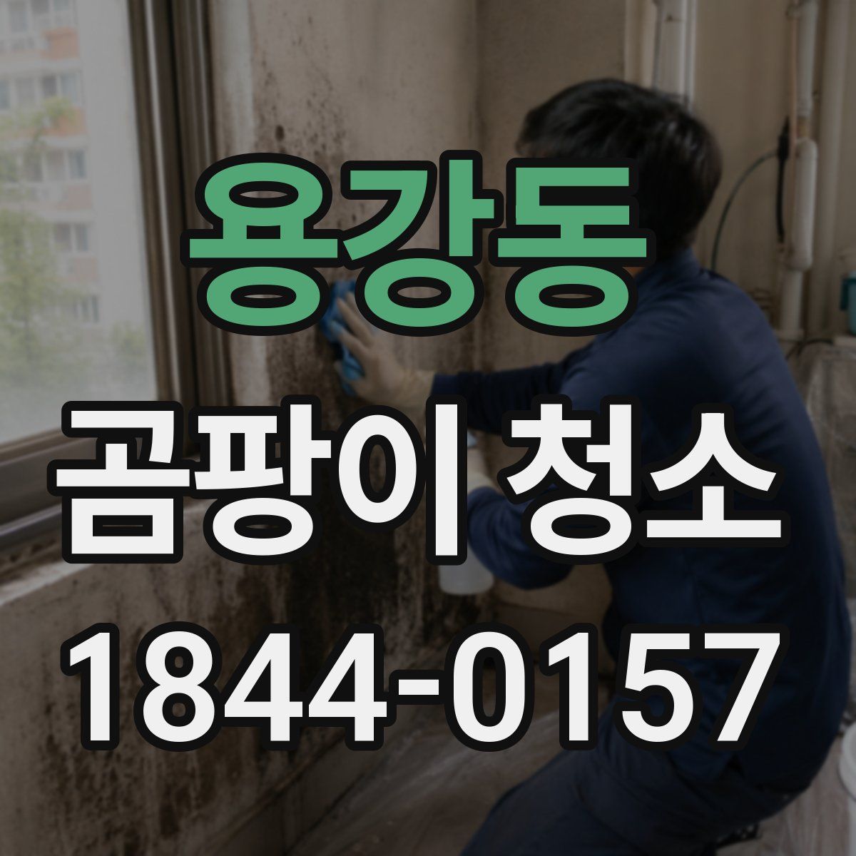 용강동 곰팡이 청소