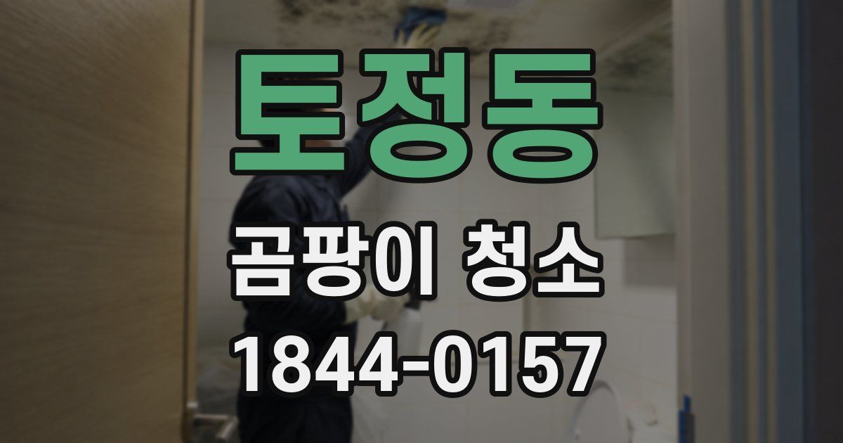 토정동 곰팡이 청소