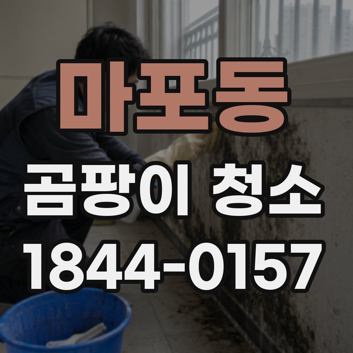 마포동 곰팡이 청소