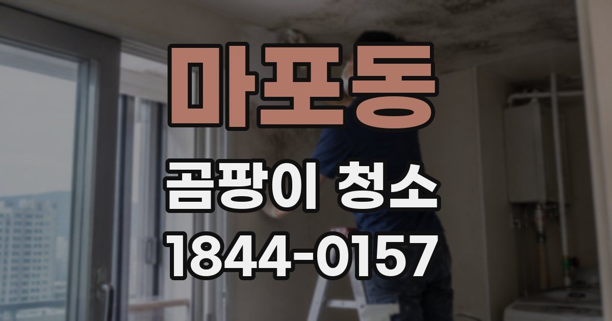 마포동 곰팡이 청소