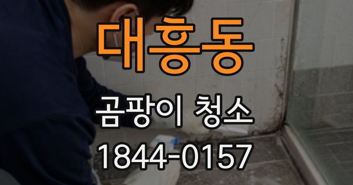 대흥동 곰팡이 청소