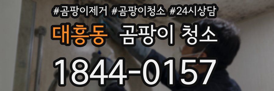 대흥동 곰팡이 청소