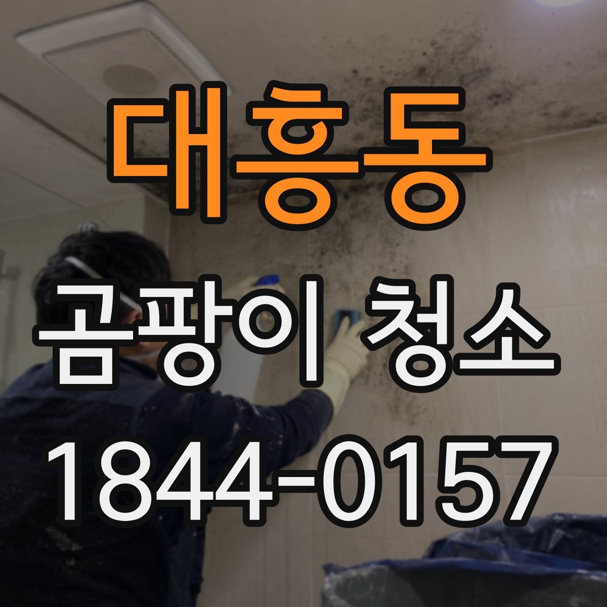 대흥동 곰팡이 청소