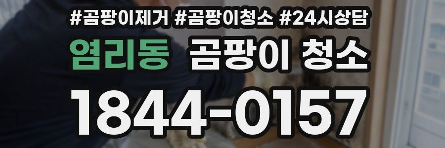 염리동 곰팡이 청소