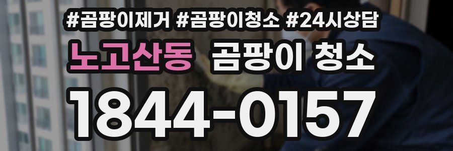 노고산동 곰팡이 청소