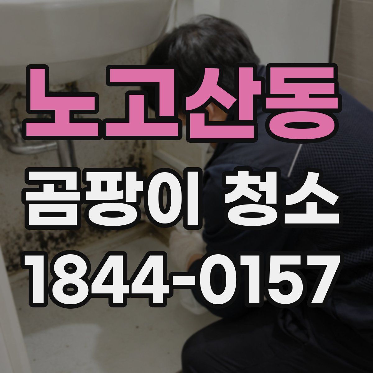 노고산동 곰팡이 청소