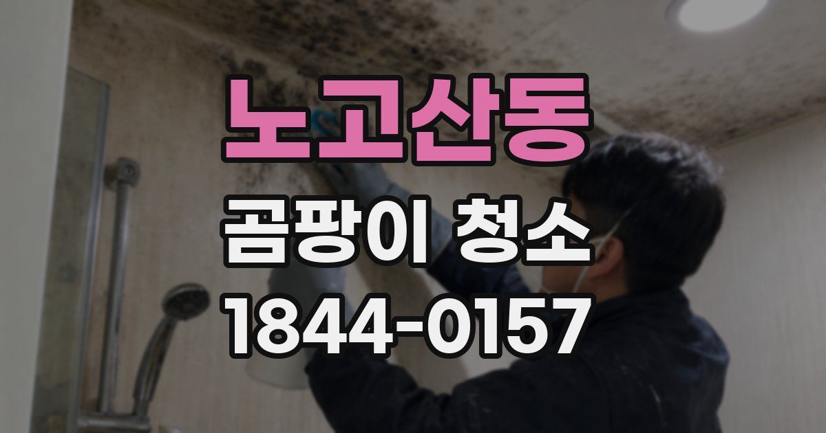 노고산동 곰팡이 청소