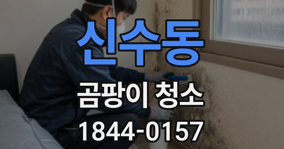 신수동 곰팡이 청소