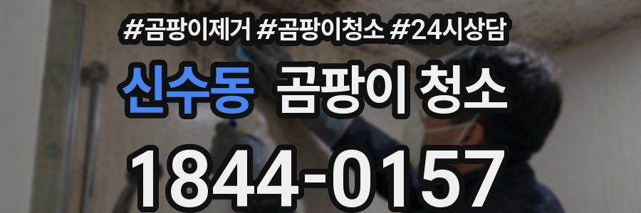 신수동 곰팡이 청소