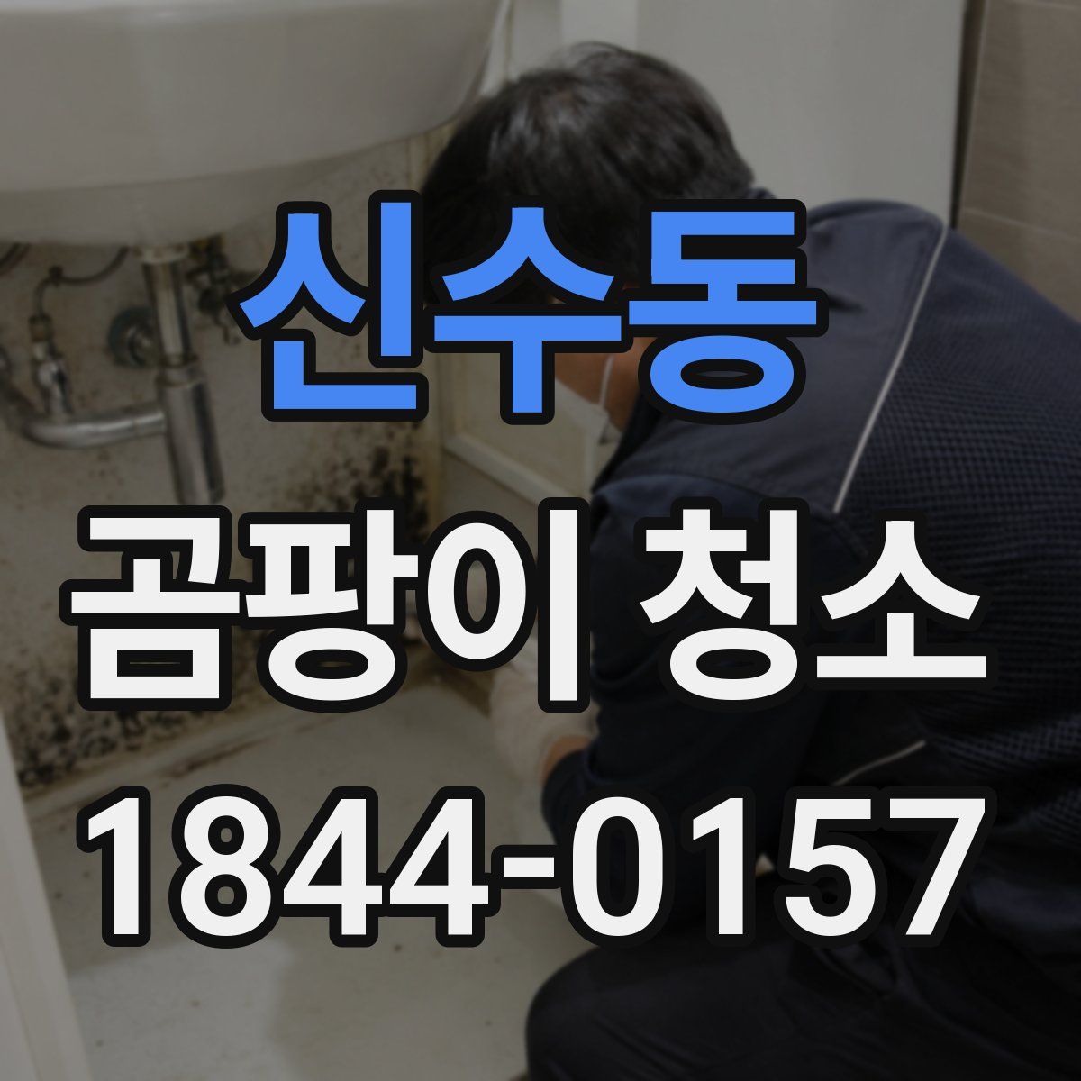 신수동 곰팡이 청소