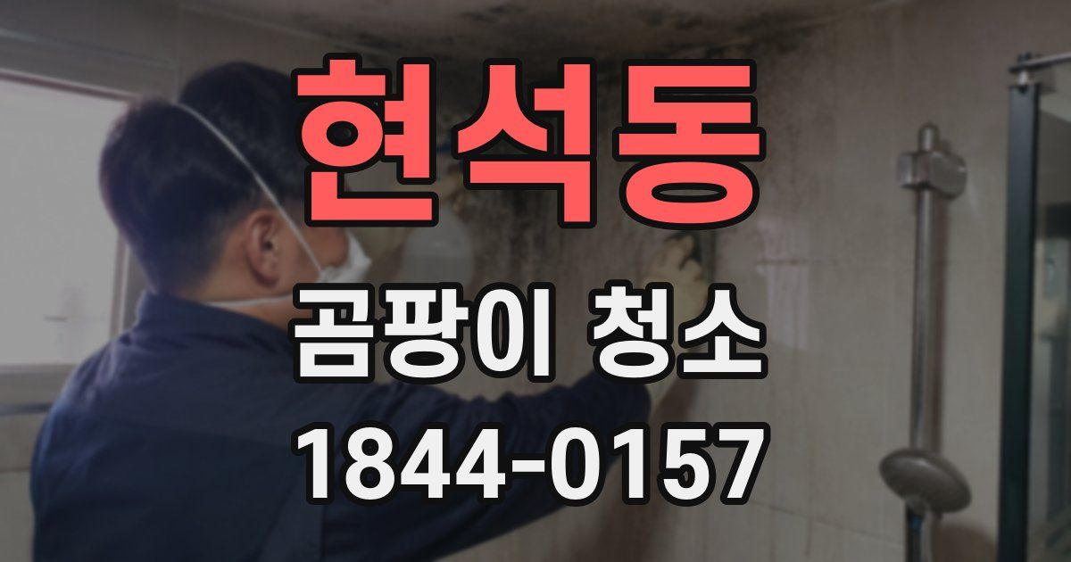 현석동 곰팡이 청소