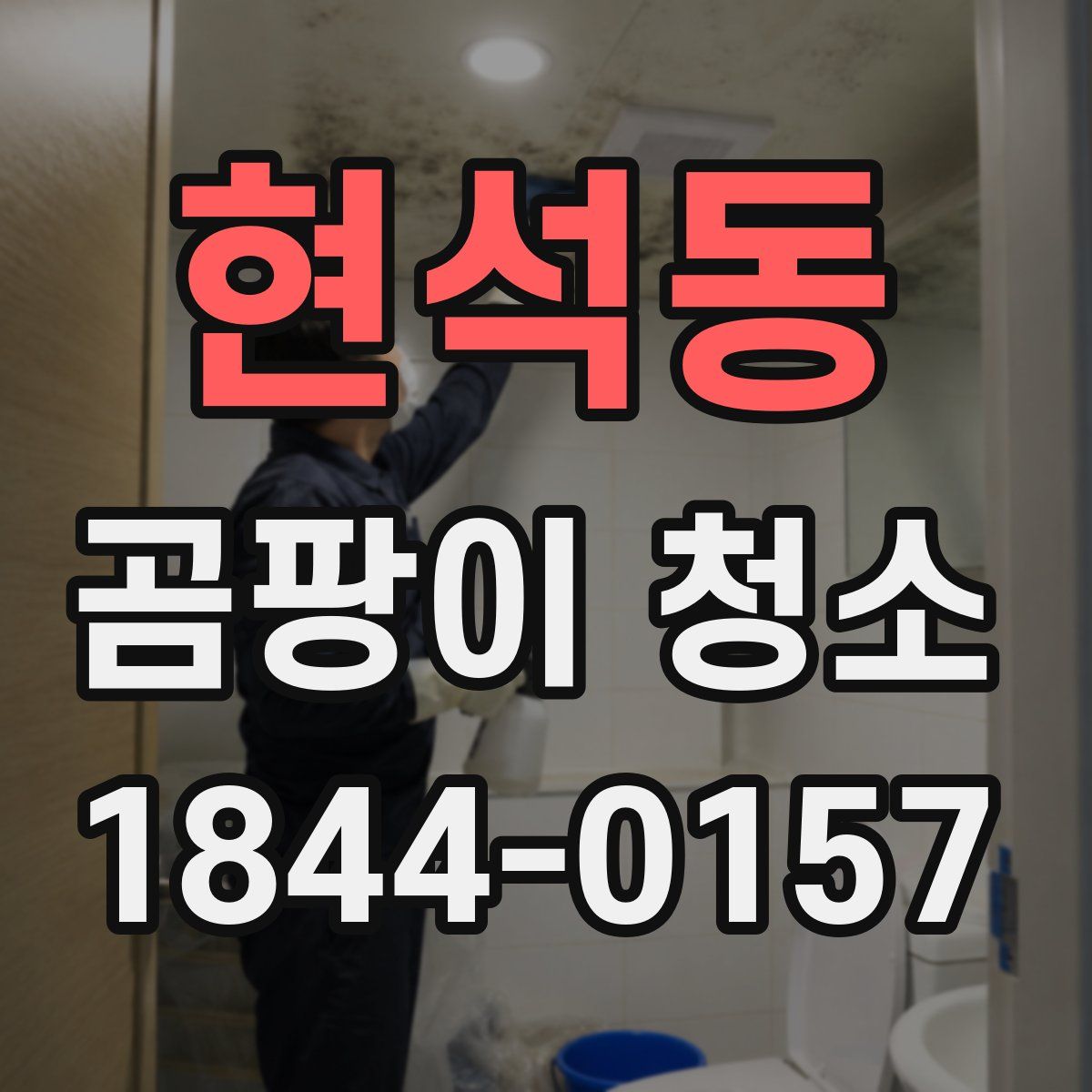 현석동 곰팡이 청소
