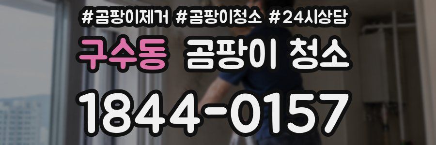 구수동 곰팡이 청소