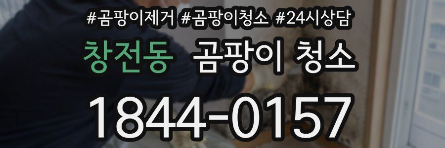 창전동 곰팡이 청소