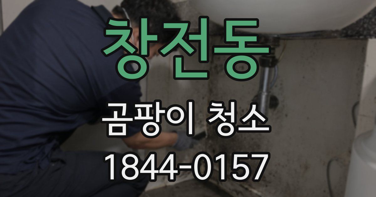 창전동 곰팡이 청소