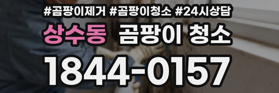 상수동 곰팡이 청소