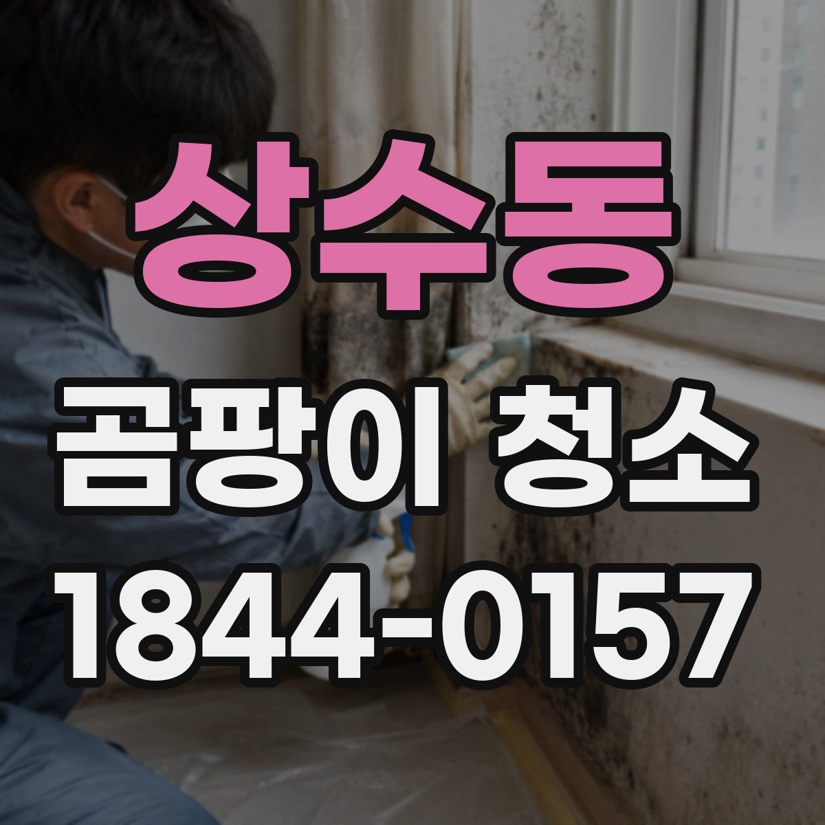 상수동 곰팡이 청소