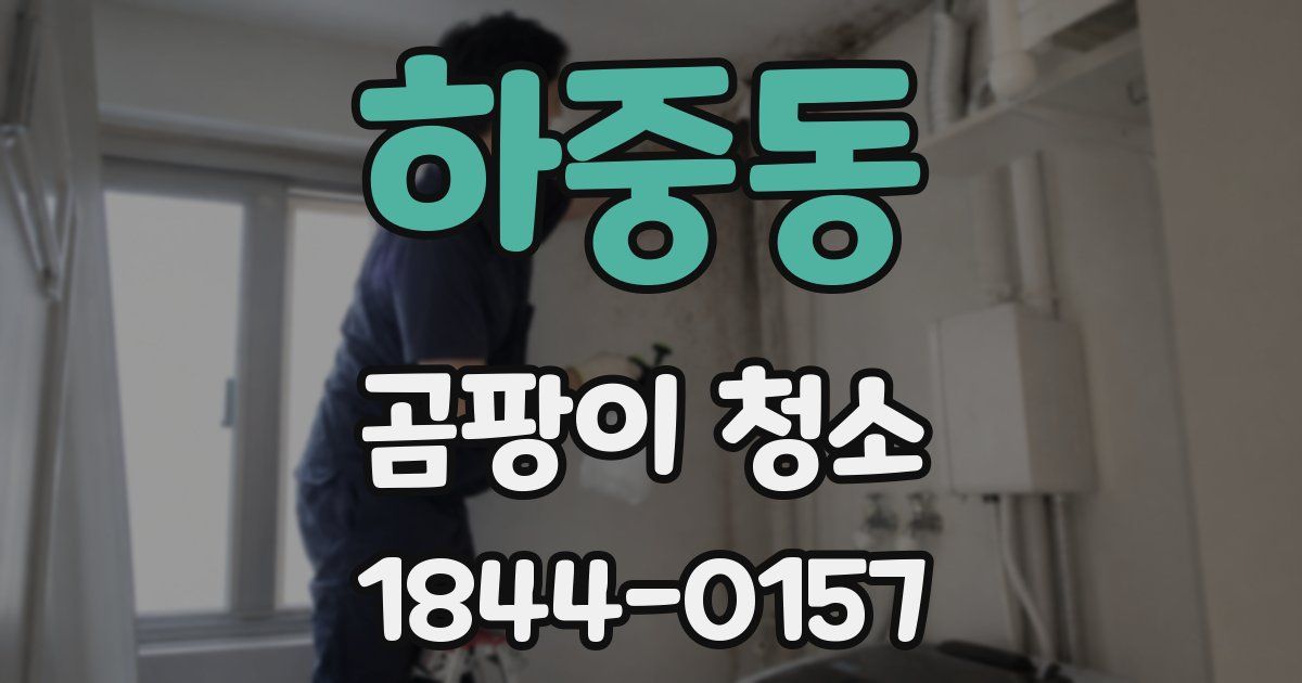 하중동 곰팡이 청소