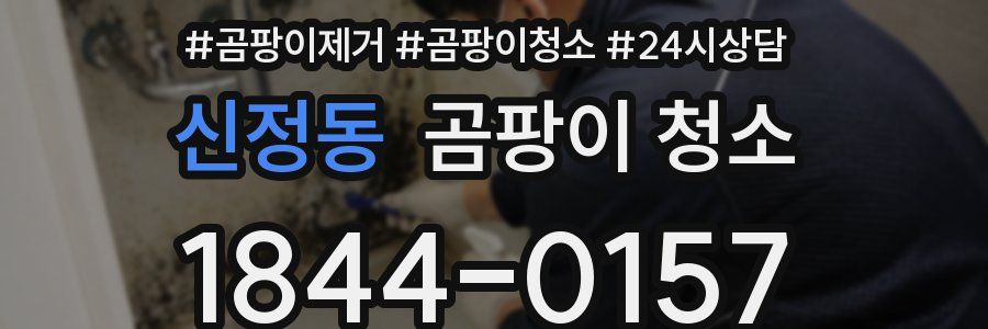 신정동 곰팡이 청소
