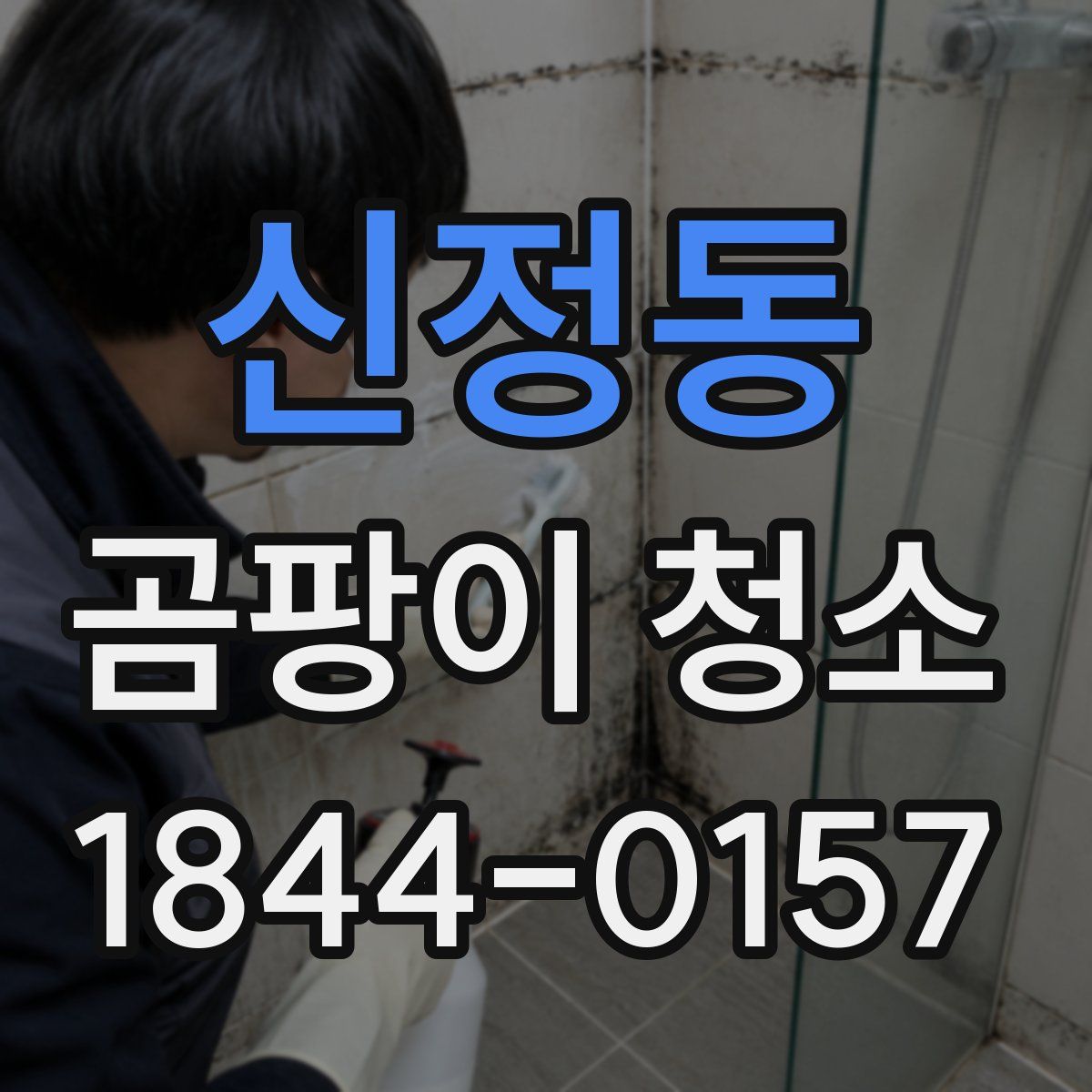 신정동 곰팡이 청소