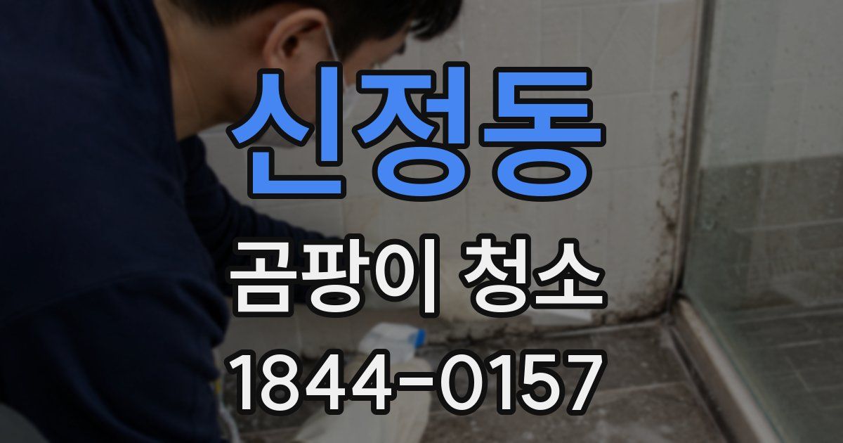 신정동 곰팡이 청소