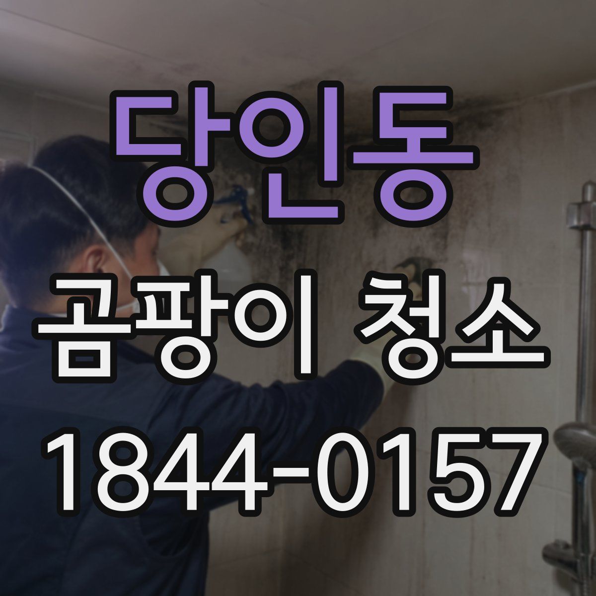 당인동 곰팡이 청소