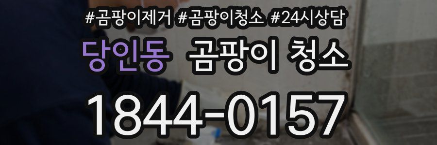 당인동 곰팡이 청소