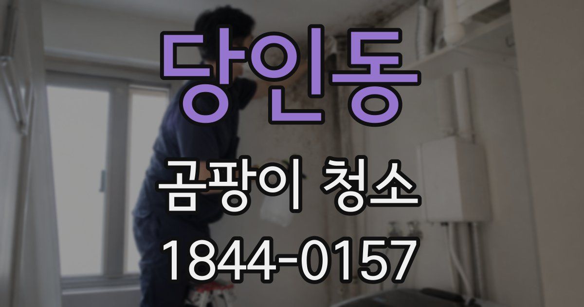 당인동 곰팡이 청소