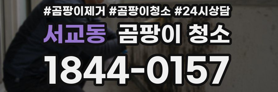 서교동 곰팡이 청소
