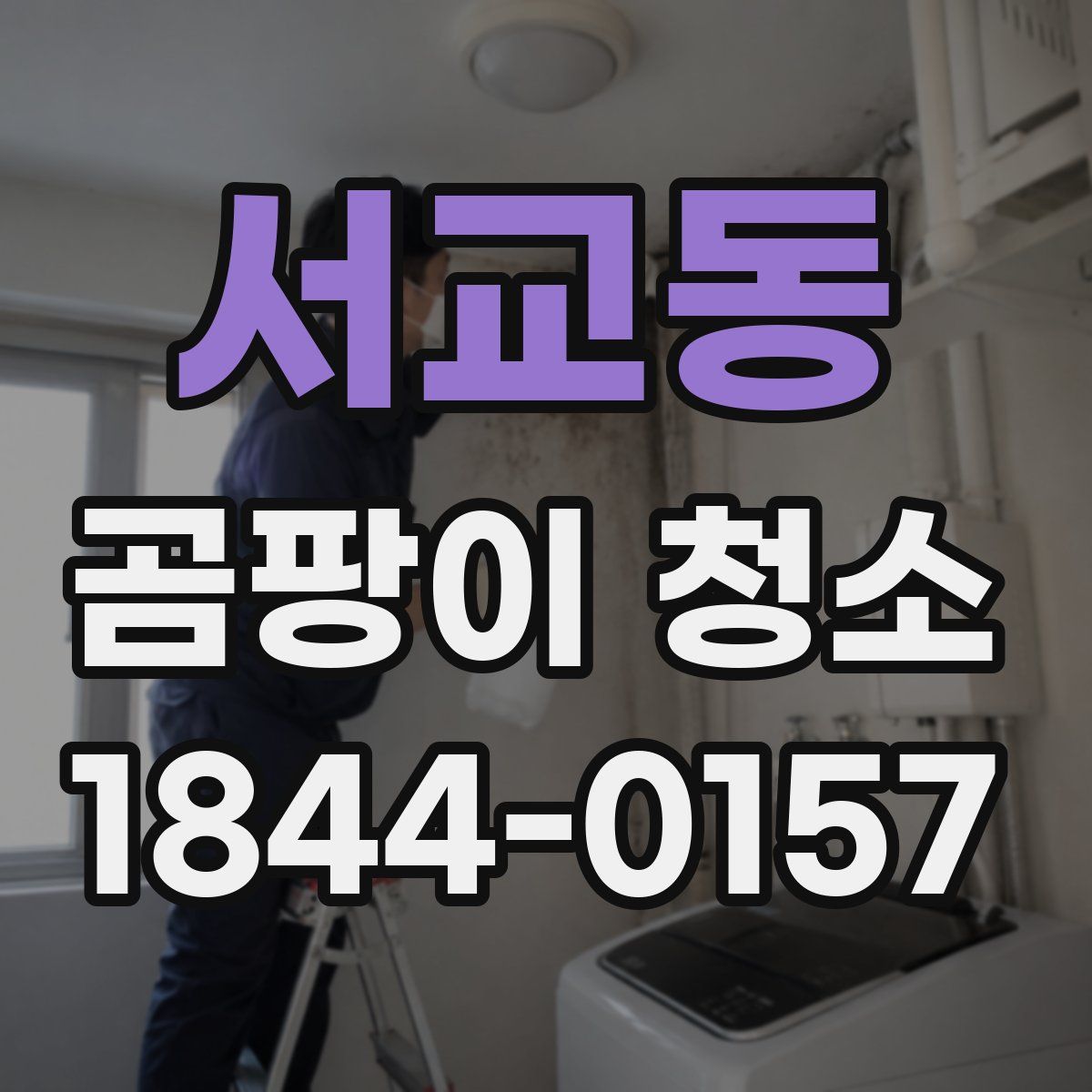 서교동 곰팡이 청소