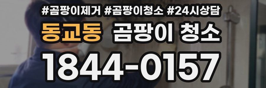 동교동 곰팡이 청소