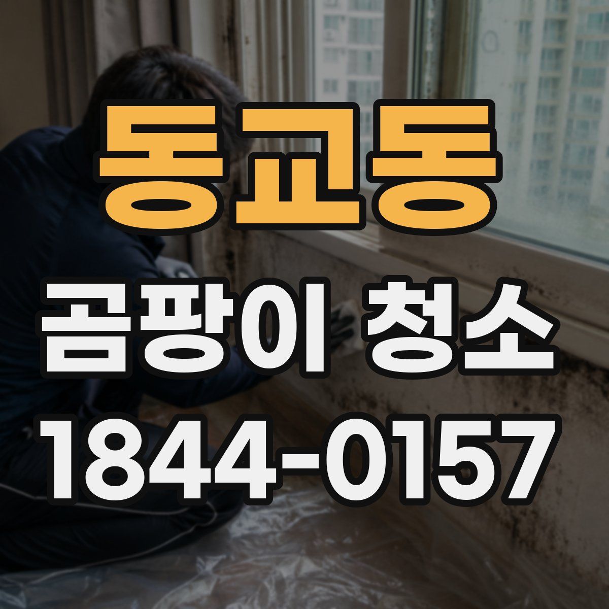 동교동 곰팡이 청소